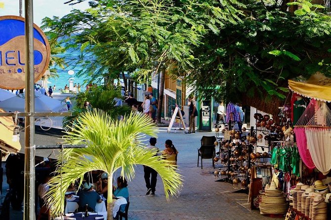 Discover Tulum, Visit Coba And Swim In A Real Mayan Cenote and Playa del carmen - A quick walk through Playa del Carmen