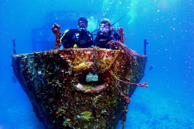 Diving in Cancun for Certified Divers | 2 Dives | All Inclusive - The Reef Site and Caribbean Marine Life
