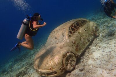 Diving in Cancun for Certified Divers | 2 Dives | All Inclusive