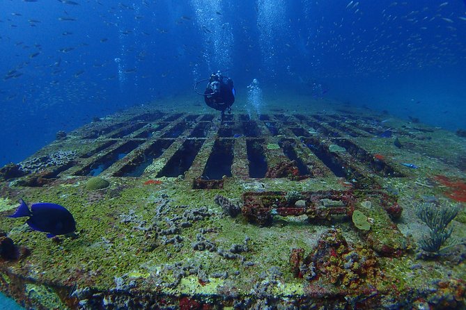 Diving in Cancun for Certified Divers | 2 Dives | All Inclusive - Group Size, Timing, and Physical Demands
