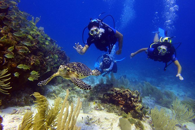 Diving in Cancun for Certified Divers | 2 Dives | All Inclusive - Weather, Safety, and Practical Preparation