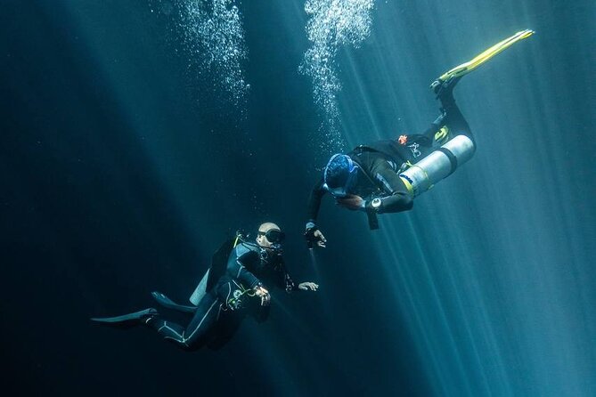 Diving in Cenotes: discovering the Mayan Underworld - What the $239.05 Price Really Covers