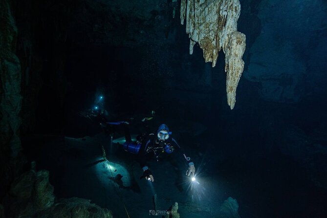 Diving in Cenotes: discovering the Mayan Underworld - Who Will Get the Most from This Experience