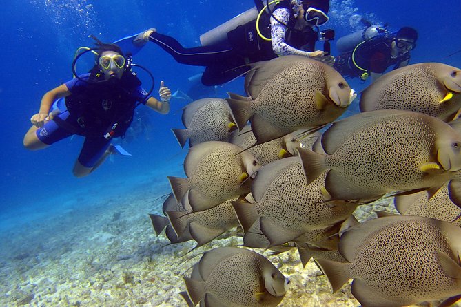 Diving in the Mexican Caribbean for Beginners | 2 Tanks 2 Dives | All Inclusive - Why the Small Group Matters