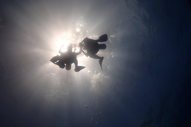 Diving in the Mexican Caribbean for Beginners | 2 Tanks 2 Dives | All Inclusive - What the $190.69 Price Really Covers