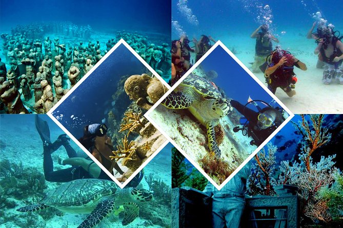 Diving + Muse - What the $154 price includes, and what it leaves out