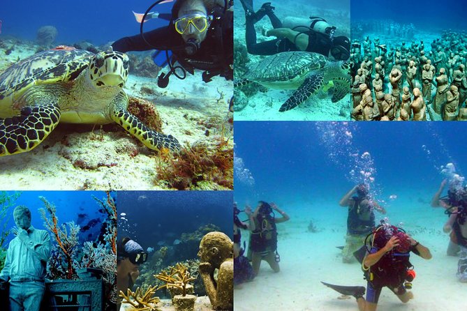 Diving + Muse - Who should book this experience