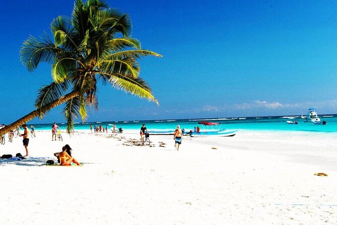 Eco Adventure At 3 Cenotes & 1 Lagoon ! From Cancun & Riviera - What you eat during a 12-hour day