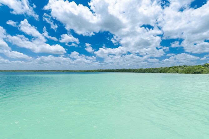 Eco Adventure At 3 Cenotes & 1 Lagoon ! From Cancun & Riviera - Is the $142 price fair?