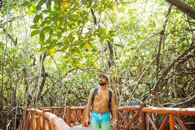 Eco Park Casa Tortuga Cenotes and Tulum Ruins! Riviera Maya Round Transportation - Who will enjoy this tour most