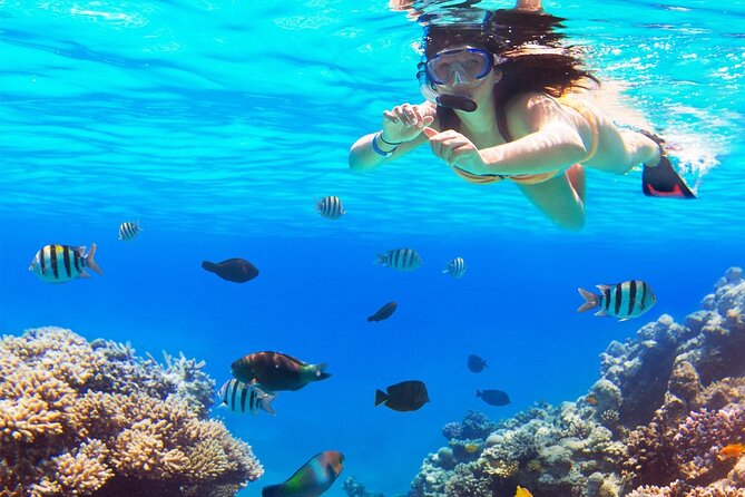 El cielo Cozumel From Cancún and round Transfer with Lunch - El Cielo gives the day its main appeal