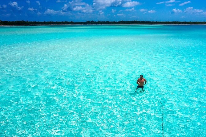 El cielo Cozumel From Cancún and round Transfer with Lunch - Three more reef stops keep the water portion varied