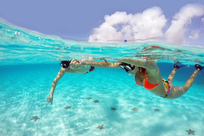 El cielo Cozumel From Cancún and round Transfer with Lunch - Lunch at Restaurante Toros breaks up the water activities