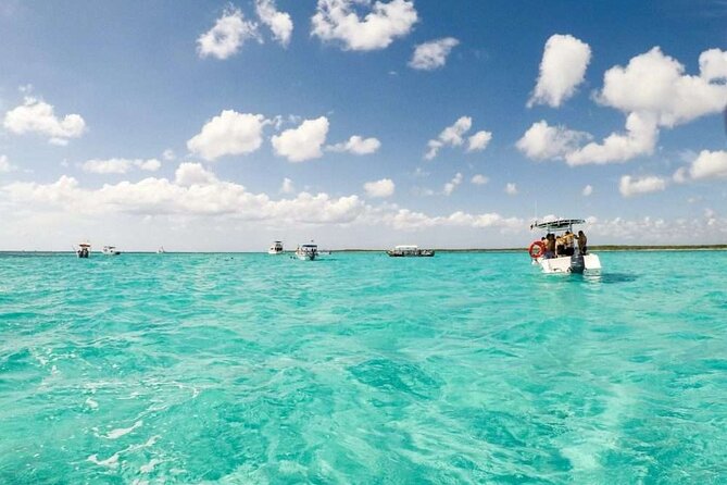 El cielo Cozumel From Cancún and round Transfer with Lunch - Group size, fitness, and seasickness