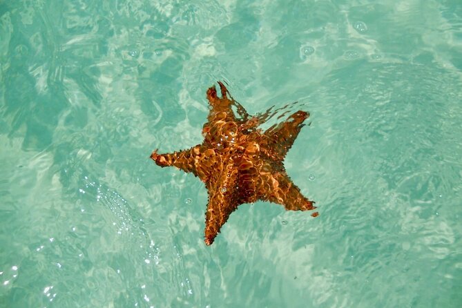 El cielo Cozumel From Cancún and round Transfer with Lunch - The light breakfast helps with the early start