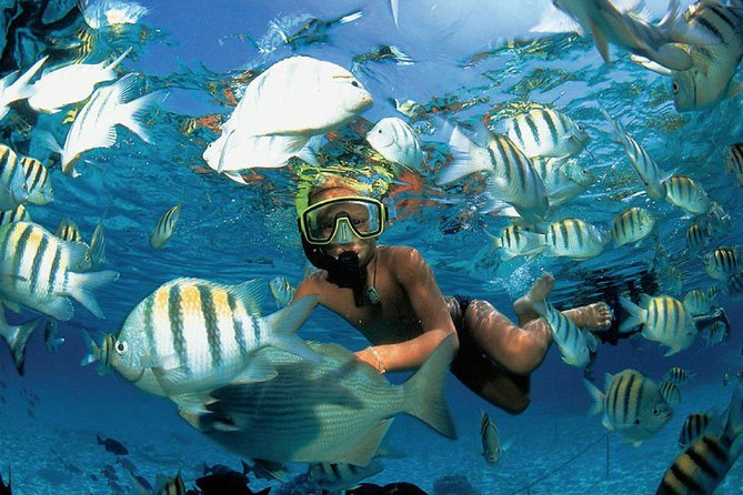 Enjoy an amazing day in Isla Mujeres with snorkeling food, drinks and round trip - What the $49 price really covers