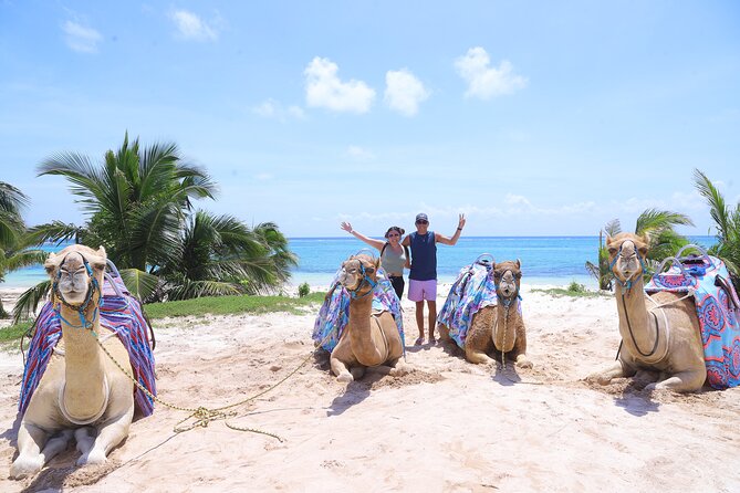 ENJOY UNIQUE CAMEL RIDE in Puerto Morelos with Transportation - A camel ride with a Caribbean finish