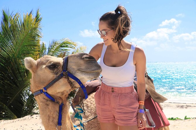 ENJOY UNIQUE CAMEL RIDE in Puerto Morelos with Transportation - The 45-minute route through woods and toward the beach