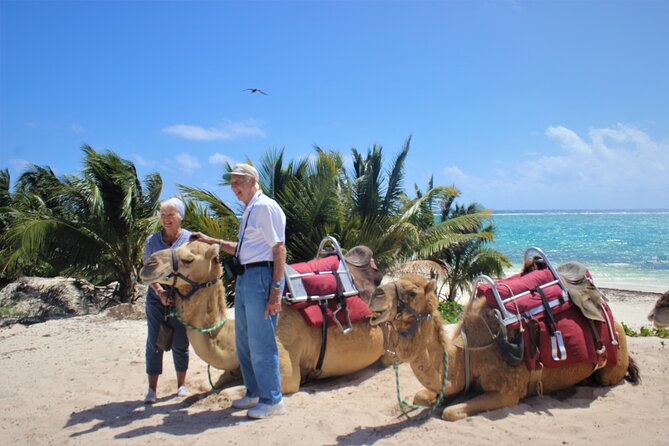 ENJOY UNIQUE CAMEL RIDE in Puerto Morelos with Transportation - The photo rule changes the experience