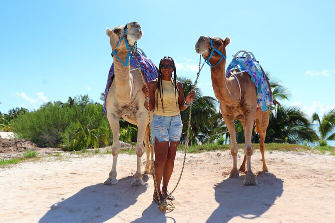 ENJOY UNIQUE CAMEL RIDE in Puerto Morelos with Transportation - Transportation can make or break the day
