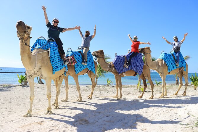 ENJOY UNIQUE CAMEL RIDE in Puerto Morelos with Transportation - What happens at El Dorado Maroma