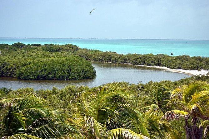 Excursion Isla Contoy & Isla Mujeres from Cancun - Who should book this day trip?