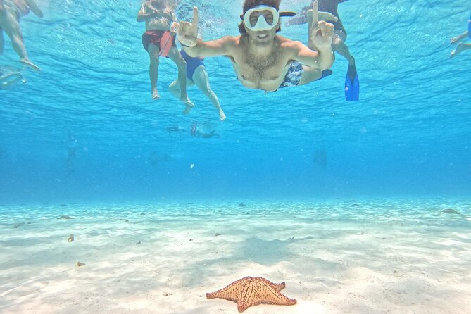 Excursion to Cozumel from Cancun - Why Cozumel makes a worthwhile day trip from Cancun