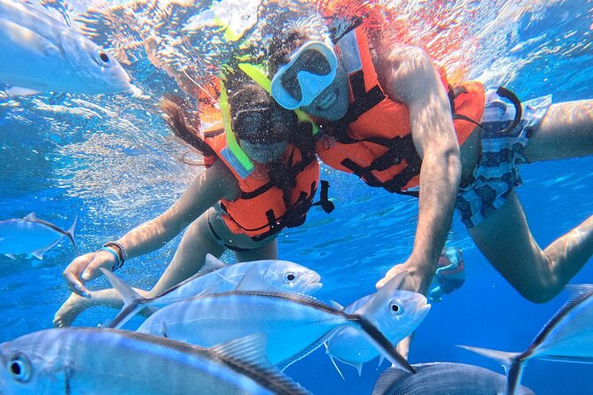 Excursion to Cozumel from Cancun - Time in Cozumel and the seaside meal