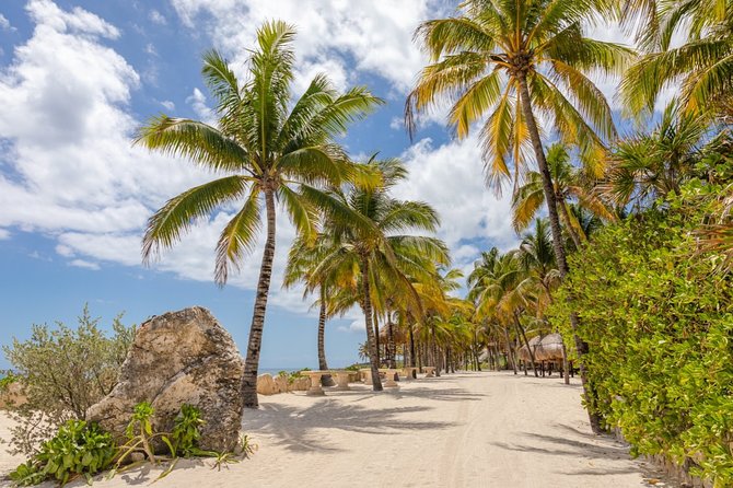 Experience an amazing ecological park tour & explore Isla Mujeres by catamaran. - Who should book these two days