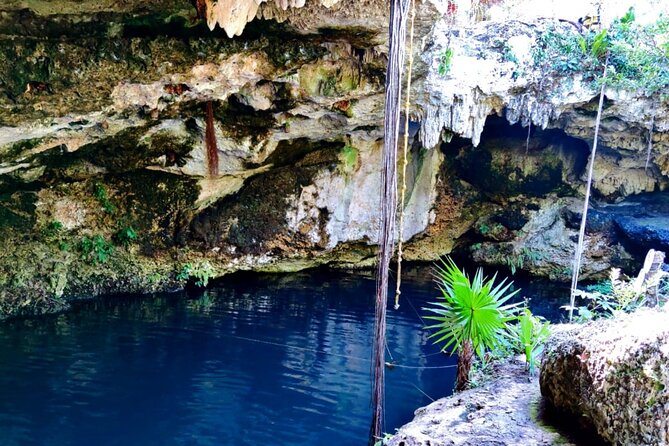Experience Cancun's Hidden Gems, Mayan museum, cenote & Market 23 - Guides and the feel of a personal outing