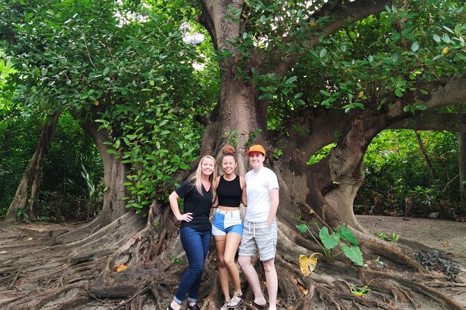 Experience Cancun's Hidden Gems, Mayan museum, cenote & Market 23 - Who should book this Cancun experience?