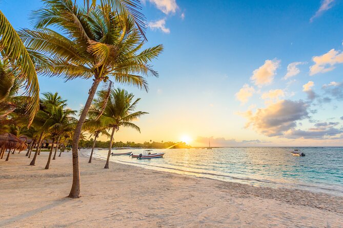 Experience swimming with turtles and explore the ruins of Tulum. Lunch included. - Is $119 a fair price?