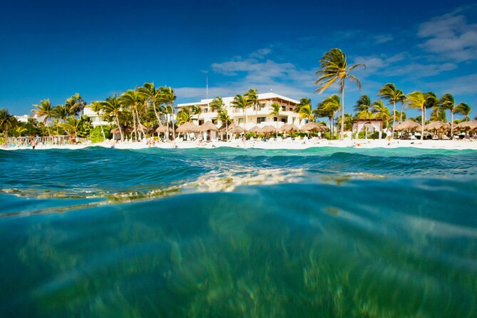 Experience swimming with turtles and explore the ruins of Tulum. Lunch included. - Should you book this Tulum and Akumal tour?