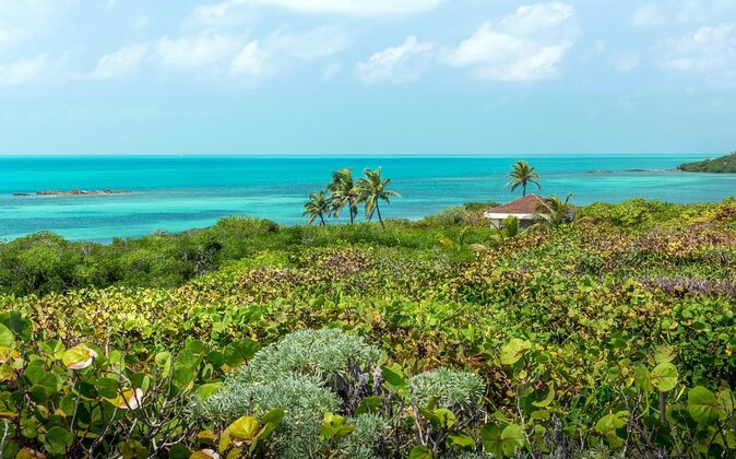 Explore Contoy Island - Key points at a glance