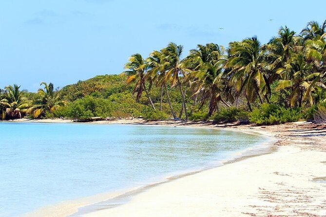 Explore Contoy Island - Why Contoy is worth the long boat ride