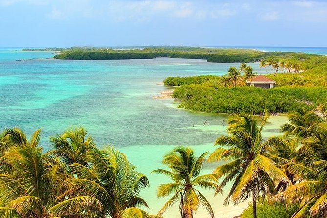 Explore Contoy Island - What Isla Mujeres adds to the day