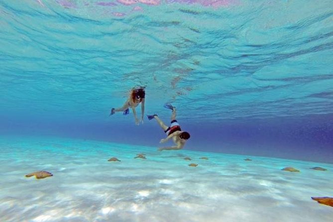 Explore El Cielo in Cozumel. Snorkel in 3 different reefs & visit Cielito Beach. - El Cielo gives the day its reason to go