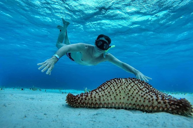 Explore El Cielo in Cozumel. Snorkel in 3 different reefs & visit Cielito Beach. - Cielito Beach gives you time to slow down