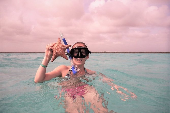 Explore El Cielo in Cozumel. Snorkel in 3 different reefs & visit Cielito Beach. - The ferry crossing adds a real Caribbean leg