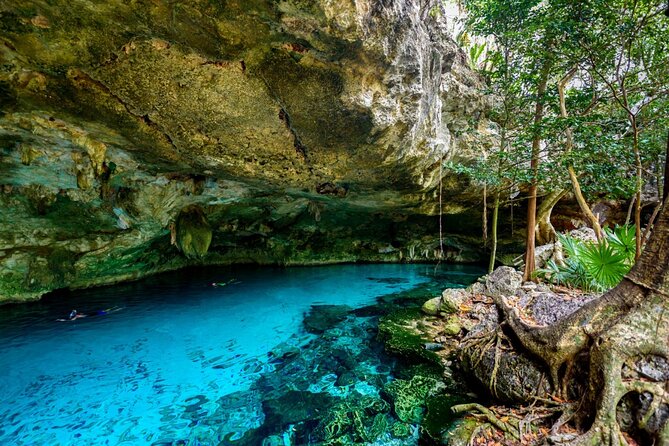 Explore Tulum and Dos Ojos Cenote with lunch and transportation - Lunch is useful, but expectations should stay modest