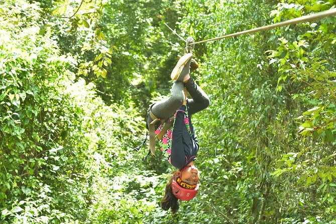 Extreme Horses Adventure with ATV, Ziplines & Cenote - Three ziplines and a cenote swim