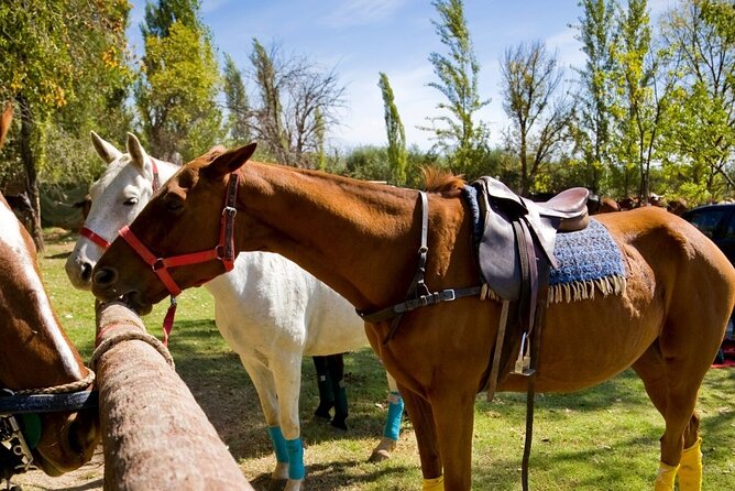 Extreme Horses Adventure with ATV, Ziplines & Cenote - Why the guides make such a difference