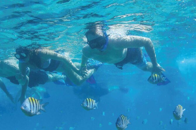 Fast & Fun: Cancun Speedboat Tour with Snorkeling - Who should book this Cancun tour?