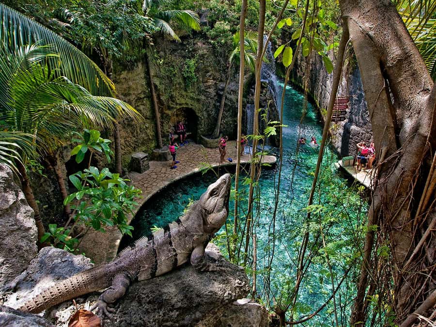 From Cancun: Complete Combo to Xcaret Park! - Getting From Cancun to Xcaret