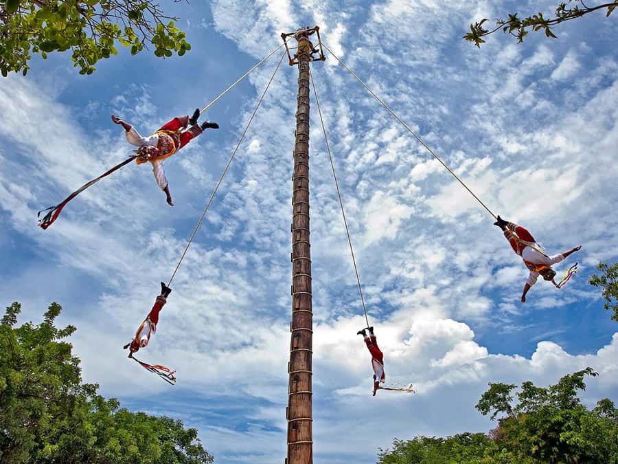 From Cancun: Complete Combo to Xcaret Park! - Wildlife and Nature Areas Worth Your Time