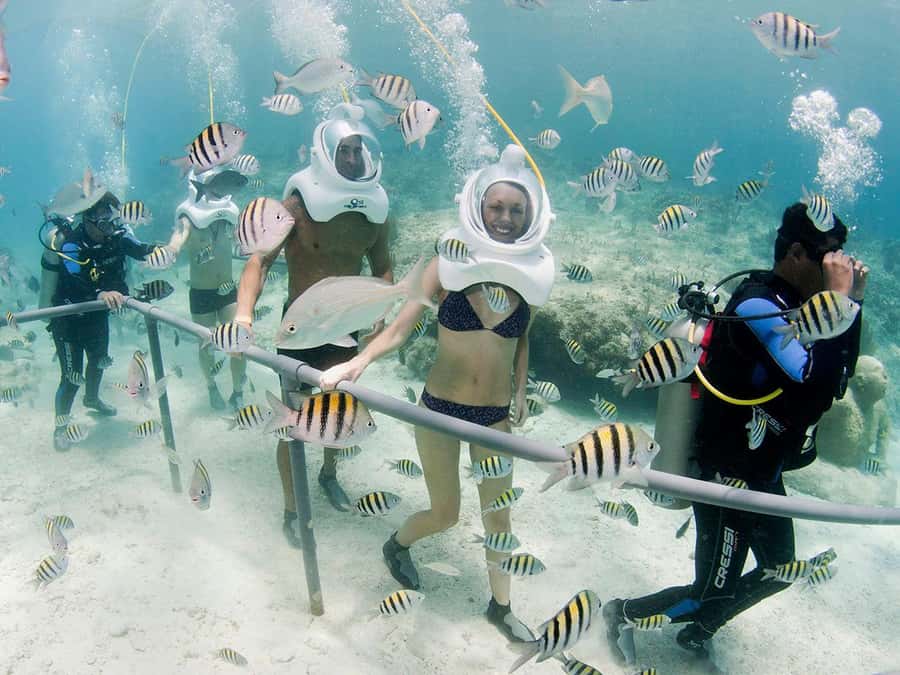 From Cancun: Complete Combo to Xcaret Park! - What the Xcaret México Espectacular Show Adds