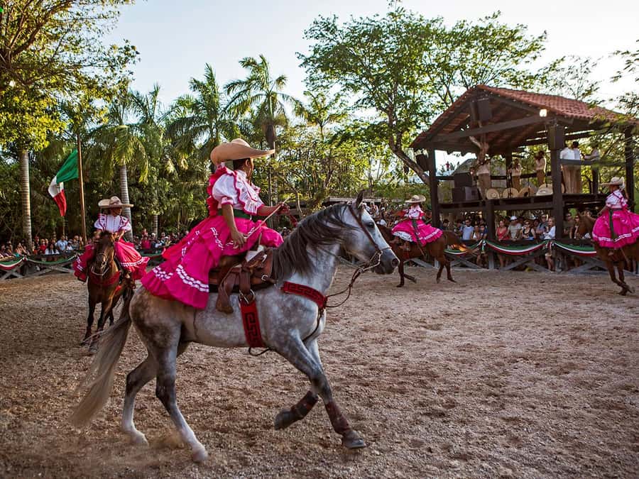From Cancun: Complete Combo to Xcaret Park! - Is the Plus Option Worth the Extra Cost?