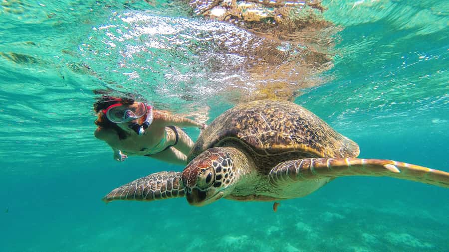 From Cancun: Day Trip to Tulum and Mariposa Cenote - The long ride from Cancun or Puerto Morelos