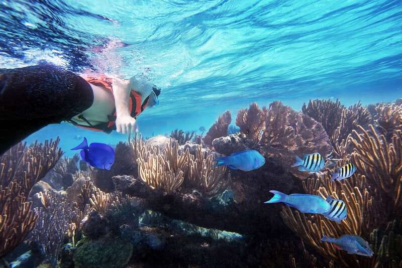 From Cancun: Garrafon Reef Park Admission with Ferry Tickets - Key points to know before you book