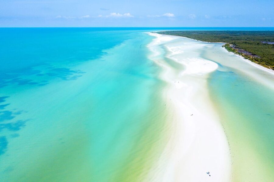 From Cancun or Puerto Morelos: Holbox Boat Tour with Lunch - Key things to know before you book